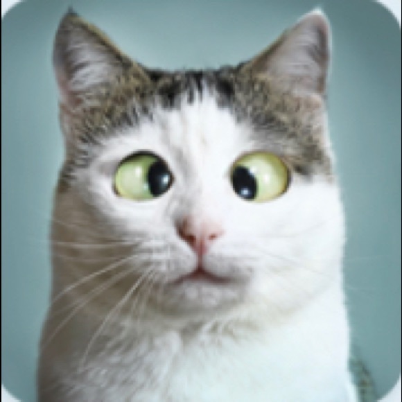 Meet your Posher, Mayra - Picture 1 of 1